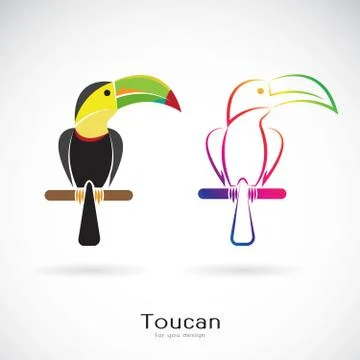 Vector of toucan bird design on white background. Wild Animals. Easy editable Stock Illustration