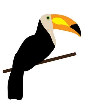 Vector Toucan Bird Stock Illustration