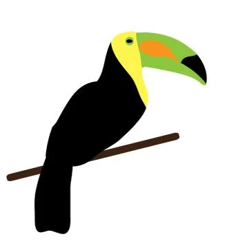Vector Toucan Bird Stock Illustration