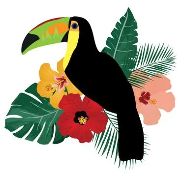 Vector Toucan Bird Stock Illustration