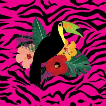 Vector toucan bird Stock Illustration