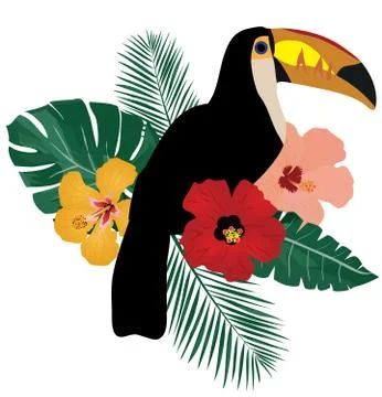 Vector Toucan Bird Illustrazione stock