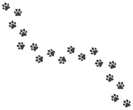 Vector trail of dog footprints Stock Illustration