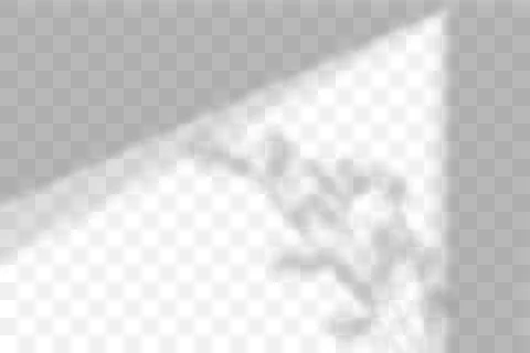 Vector transparent natural plant shadow. Light effect Stock Illustration