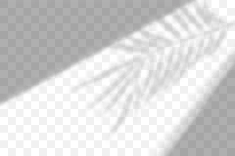 Vector transparent natural plant shadow. Light effect Stock Illustration