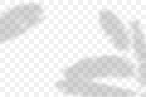 Vector transparent natural plant shadow. Light effect Stock Illustration