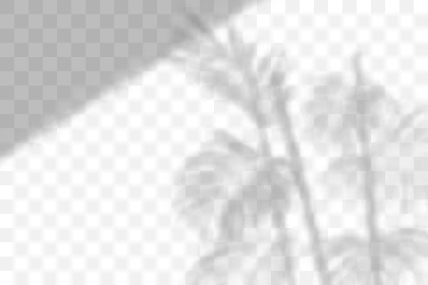 Vector transparent natural plant shadow. Light effect Stock Illustration