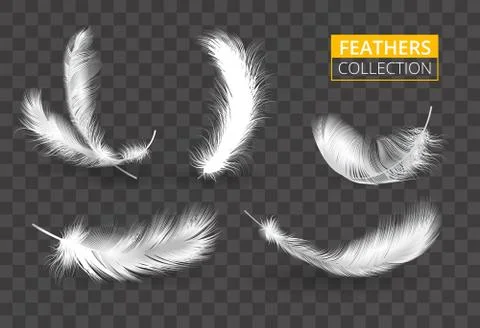 Vector transparent set of isolated falling white fluffy twirl feathers Stock Illustration