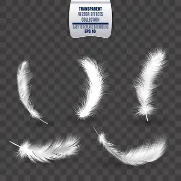 Vector transparent set of isolated falling white fluffy twirl feathers Stock Illustration