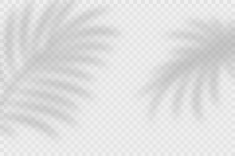 Vector Transparent Shadow Effects. Tropical Leaves, Palm Leaves Shadow Overlay Stock Illustration
