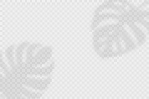 Vector Transparent Shadow Effects. Tropical Leaves, Monstera Leaves Shadow Stock Illustration