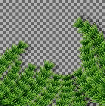 Vector. Tree branch, fir-tree, wooden frame made of fir branches. Stock Illustration