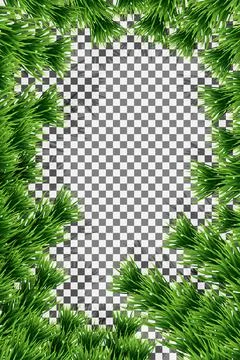 Vector. Tree branch, fir-tree, vertical wooden frame made of fir branches. Stock Illustration