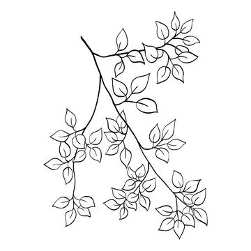 Vector tree branch line floral hand drawn sketch Stockillustratie