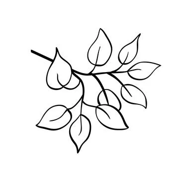 Vector tree branch line floral hand drawn sketch Stockillustratie