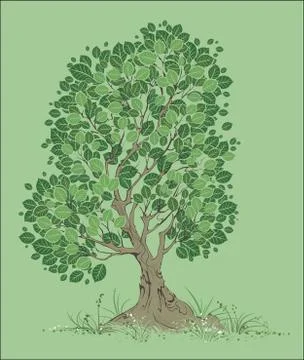 Vector Tree on a Green Background Stock Illustration