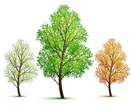 Vector tree Stock-Illustration