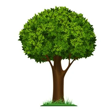 Vector tree isolated on white background Stock-Illustration