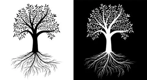 Vector tree with leaves and roots Stock Illustration