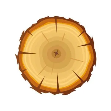 Vector tree Ring Wood log isolated on white. Stock Illustration