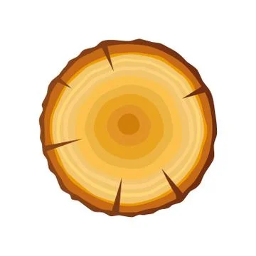 Vector tree Ring Wood log. Cut trees, isolated on white background. Vector Stock-Illustration