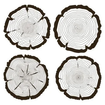 Vector tree rings and saw cut trunk set Stock Illustration