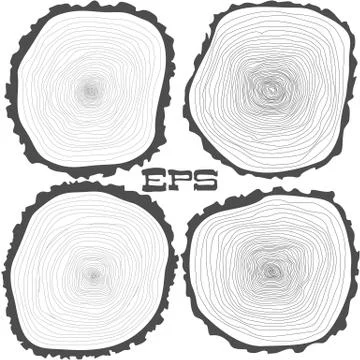 Vector tree rings background and saw cut tree trunk Stock Illustration