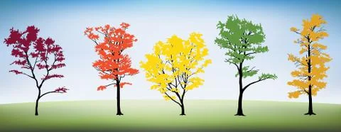 Vector Tree Set Stock Illustration