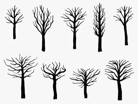 Vector tree shape set - barren tree silhouette illustration collection. Stock Illustration
