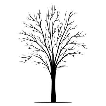 Vector tree silhouette Stock Illustration