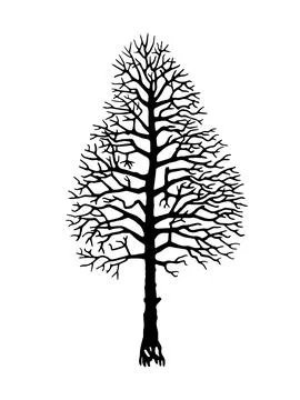 Vector tree silhouette. Stock Illustration