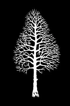 Vector tree silhouette. Stock Illustration