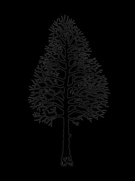 Vector tree silhouette. Stock Illustration