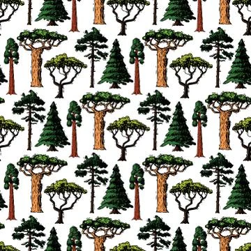 Vector tree sketch hand drawn style types green forest pine treetops collection Ilustración de archivo