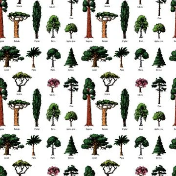 Vector tree sketch hand drawn style types green forest pine treetops collection Stock Illustration