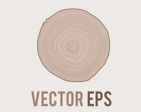 Vector tree with woodgrain ring natural texture from top view Stock Illustration