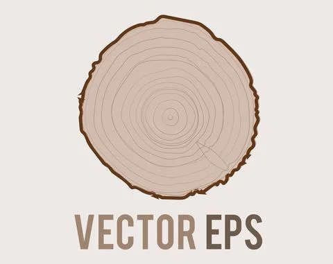 Vector tree with woodgrain ring natural texture from top view Stock Illustration