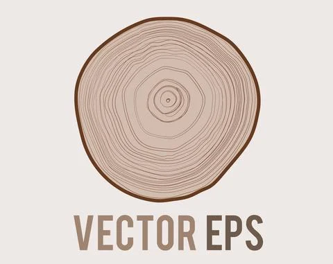 Vector tree with woodgrain ring natural texture from top view Stock Illustration
