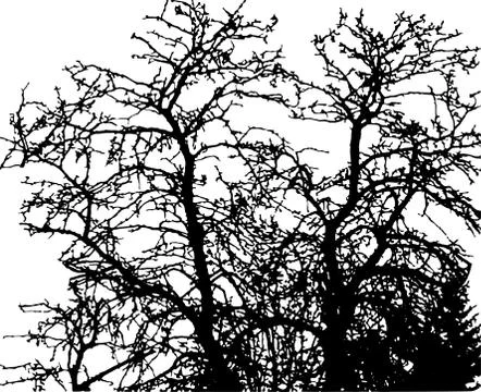 Vector trees background. Illustrazione stock