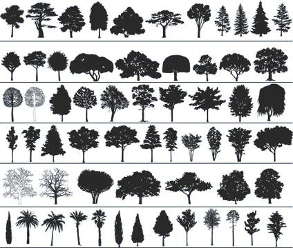 Vector trees Stock Illustration
