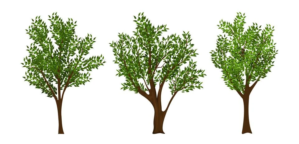 Vector trees set Stock Illustration