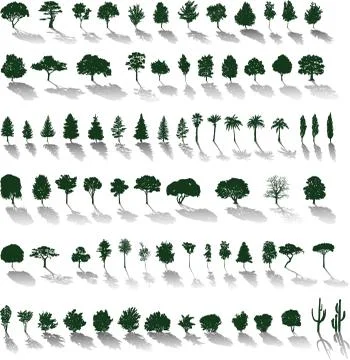Vector trees with shadows Stock Illustration