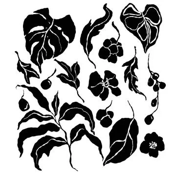 Vector tropical abstract set of black flowers and leaves. Hand painted floral Stock Illustration