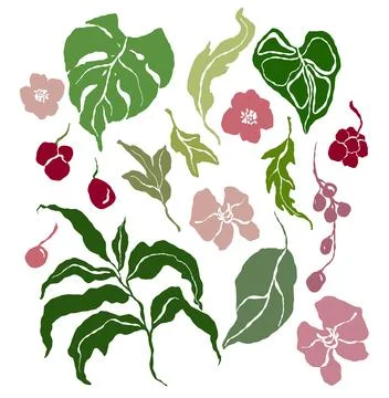 Vector tropical abstract set of red and pink flowers, green leaves. Hand painted Stock Illustration
