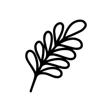 Vector tropical acacia leaf isolated on white background. Funny coloring and Stock Illustration