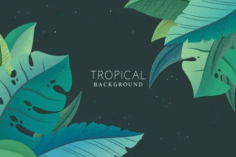 Vector tropical background with green trendy exotic palm and monstera leaves  Stock Illustration