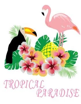 Vector Tropical Background Stock Illustration