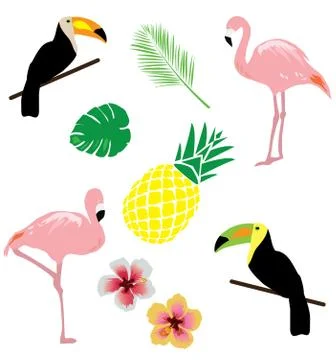 Vector Tropical Background Stock Illustration