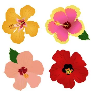 Vector tropical background Stock Illustration