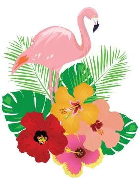 Vector tropical background Stock Illustration